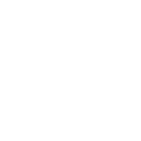 Logo RF Group