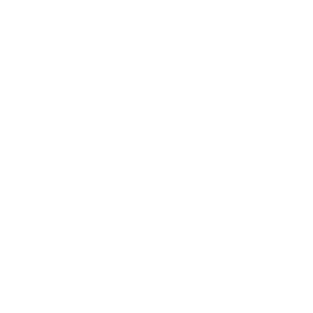 Logo Elsys