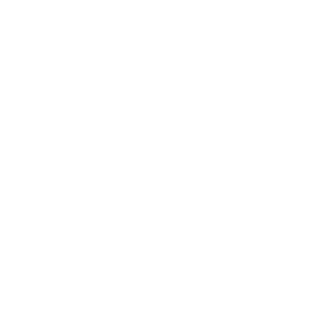 Logo Teysi