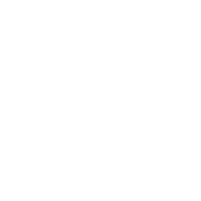 Logo Bocchese Porte